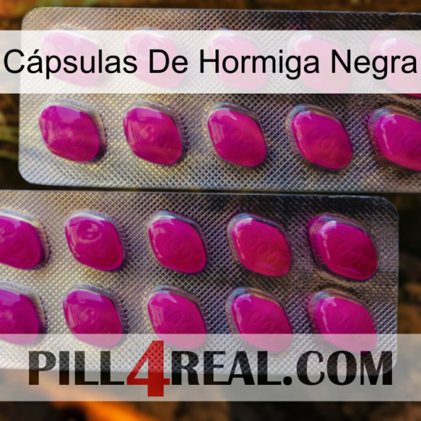 Cápsulas De Hormiga Negra 10.jpg